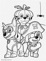 Paw Patrol Ausmalbilder Sky Inspirierend Malvorlagen Kostenlos  sketch template
