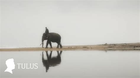 TULUS - Gajah (Official Music Video) Chords - Chordify