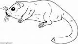5 Free Printable Dormouse coloring Pages Easy To Print From Any device  sketch template
