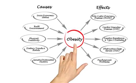 Unraveling the Genetics of Obesity: Insights and Implications - Genes ...