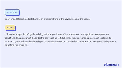 SOLVED:Open Ended Describe adaptations of an organism living in the abyssal zone of the ocean.