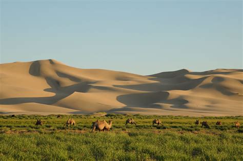 Mongolia Travel Agency | Travel to Mongolia | Mongolia Tours
