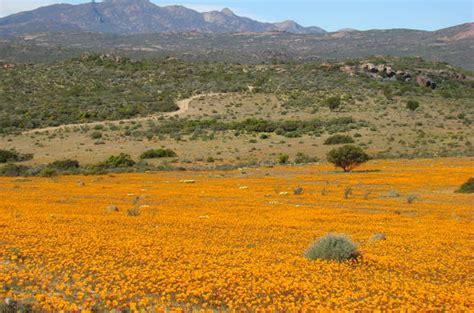 South Africa Nature Reserves - Namaqua National Park