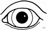 An Eye coloring page  Free Printable Coloring Pages sketch template