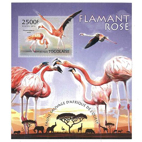 Togo Stamp, 2013 Flamingo, Birds, Wildlife, Animals S/S – International House of Stamps & Coins