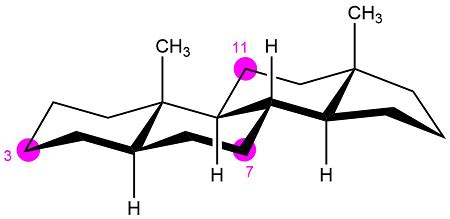 Tell whether the following substituent on a steroid is axial or equatorial. (A substituent that ...