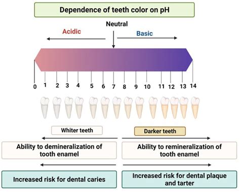 Scale pH and dependence on it the color of teeth and formation of tooth... | Download Scientific ...