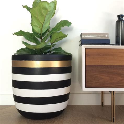 10 pots for your indoor plants, from budget to luxe - The Interiors Addict
