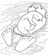 50  Otter Coloring Pages Free Printable PDF JPG PNG & Online sketch template