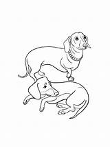 Coloring Page With Dachshund Dog Colouring Book For Kids sketch template