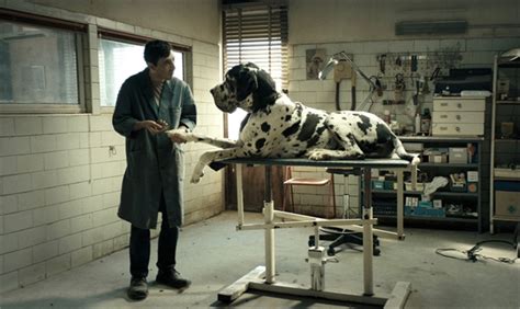 Dogman - Film Review