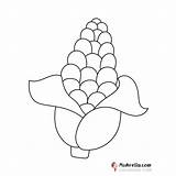 Corn Coloring Page sketch template