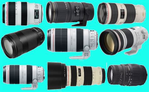 Best Telephoto Lens for Canon- The Full Guide