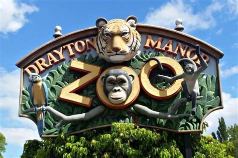 Drayton Manor Zoo #LoveYourZoo | Boo Roo and Tigger Too