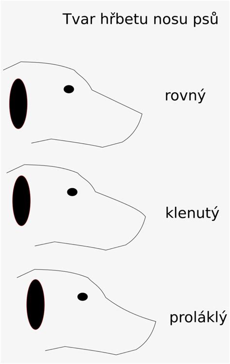 Open - Dog Snout Shapes PNG Image | Transparent PNG Free Download on ...