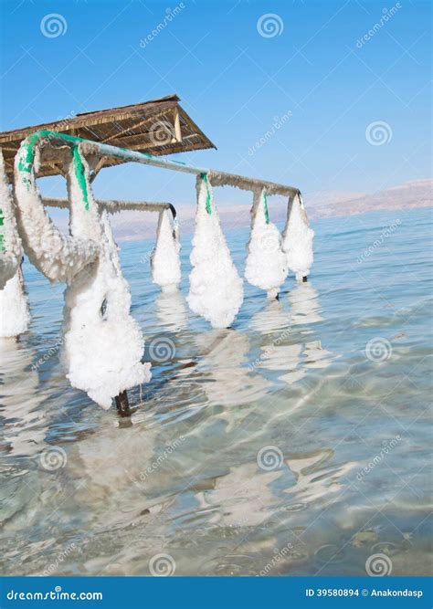 Spa Resort of the Dead Sea at Ein Gedi, Stock Photo - Image of helth ...