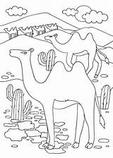 Desert Animal Coloring Pages Mindfulness Animals sketch template