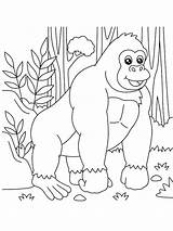 Cartoon Gorilla Coloring Page  Download Print Or Color Online For Free sketch template