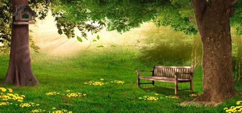 Grass Park Bench Garden Bench background Dream Photography, Scenic Photography, Stunning ...