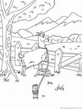 Printable Goat coloring Page  Download Print Or Color Online For Free sketch template