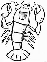 Lobster Coloring Pages  ColoringBay sketch template