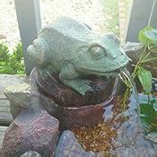 Amazon.com: Tom & Co. Frog Hollow Solar Water Fountain: Home & Kitchen