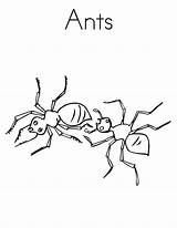 Free Printable Ant Coloring Pages For Kids sketch template