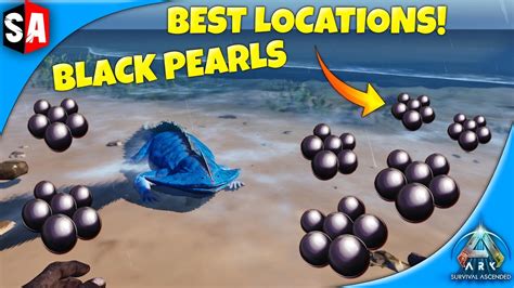 BEST Black Pearls Locations | Ark Survival Ascended - YouTube