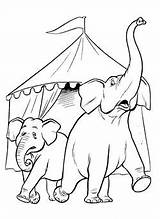 Circus Elephant Coloring Pages sketch template