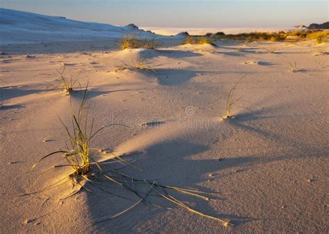 Polish desert stock image. Image of sand, dunes, dune - 24059331