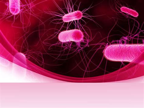 Powerpoint Bacteria Templates for Powerpoint Presentations, Powerpoint Bacteria PPT template ...