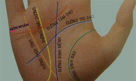 Người Phương Nam: Tự Xem Đường Chỉ Tay Đoán Biết Vận Mệnh Tương Lai Của ...