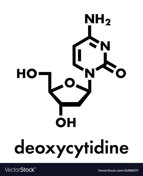 Deoxycytidine dc nucleoside molecule dna building Vector Image