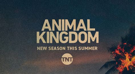 Animal Kingdom Season 5 Release Date Revealed! Watch the official trailer