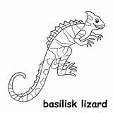 Kids Line Illustration coloring basilisk lizard Animal Are Just Lines  sketch template