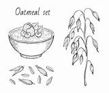 Oats Coloring Pages sketch template