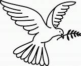 Dove Of Peace Coloring Page  Home sketch template
