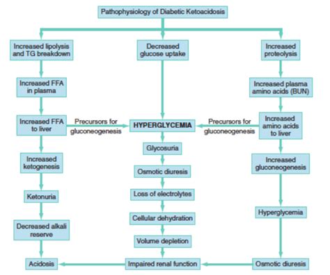 Diabetic Ketoacidosis (DKA) – Core EM