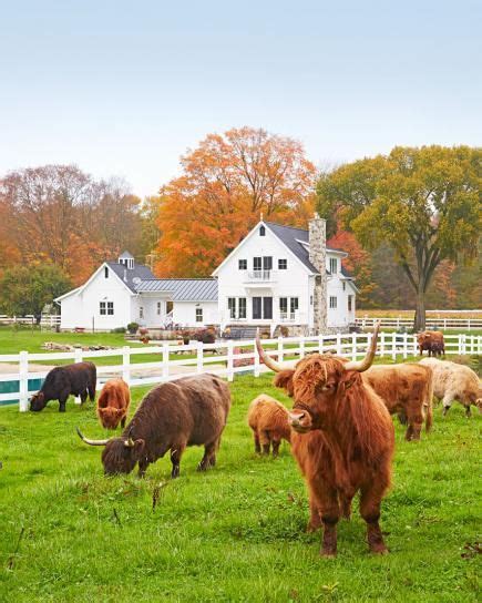 House Tour: Dream Acres Farmhouse in Michigan | Old farm houses, Old ...