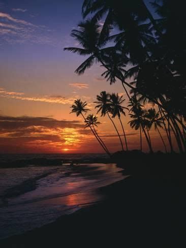 'Palm Beach, Sundown, Back Light' Photographic Print - Thonig | Art.com | Nature pictures, Beach ...