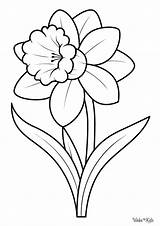 Daffodil Coloring Pages Free Printable PDFs  WakeTheKids sketch template