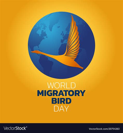 World migratory bird day Royalty Free Vector Image