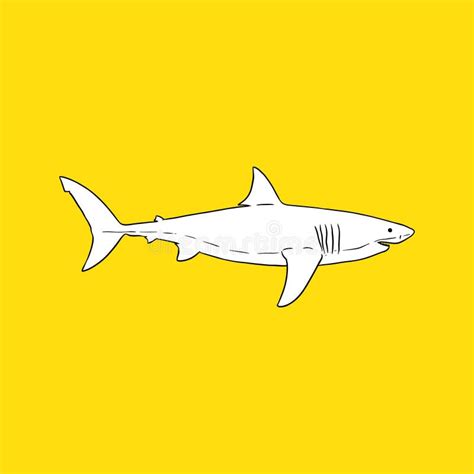 Great White Shark, Side View. Silhouette - Vector Stock Vector - Illustration of wild ...