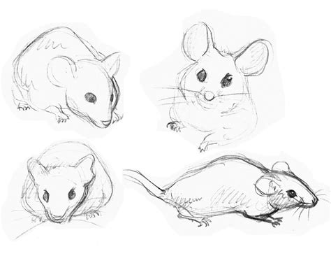 de Fato's Animation Blog: Mice Sketches