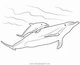 Mother And Baby Dolphin Coloring Page For Kids  Free Dolphins sketch template