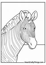 15 Realistic Animals Coloring Pages 100% Free Printables sketch template