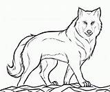 Beautiful Pictures Of Wolves To Color sketch template