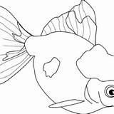Goldfish Coloring Pages Printable For Free Download sketch template