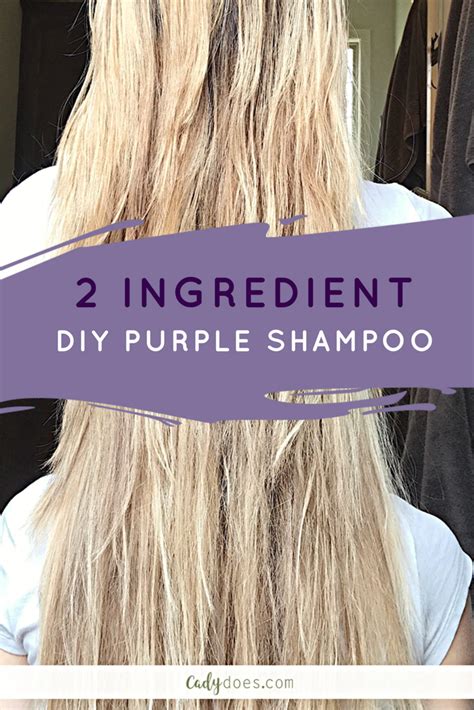 2 Ingredient DIY Purple Shampoo | Diy hair toner, Purple shampoo, Purple hair toner