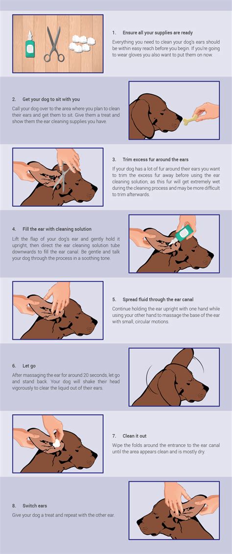 Cleaning your dog’s ears | Knysna-Plett Herald